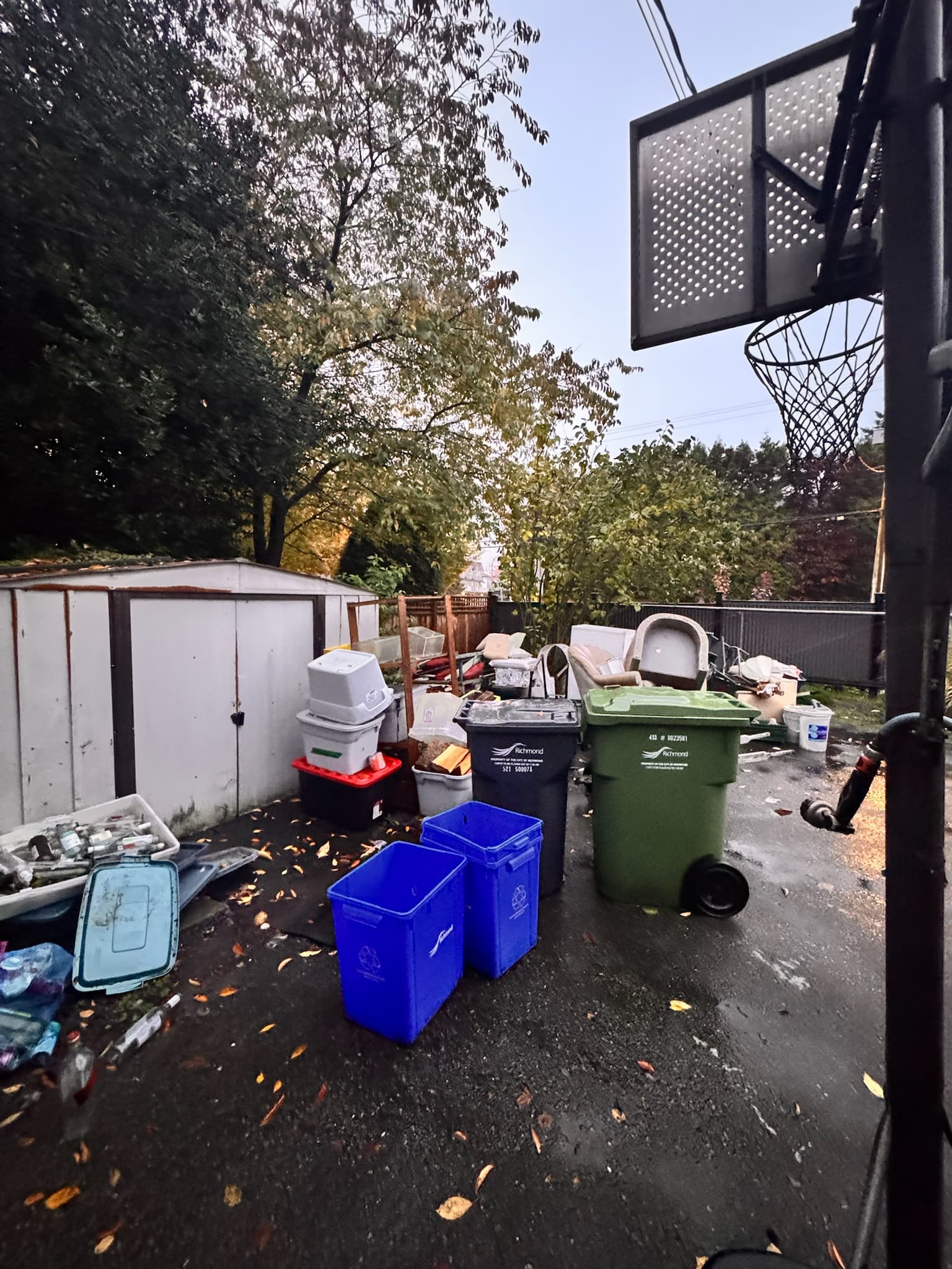 Yard cleanout